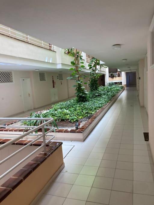 Apartament Sunset Aliss ปัวร์โตเดซานตีอาโก ภายนอก รูปภาพ